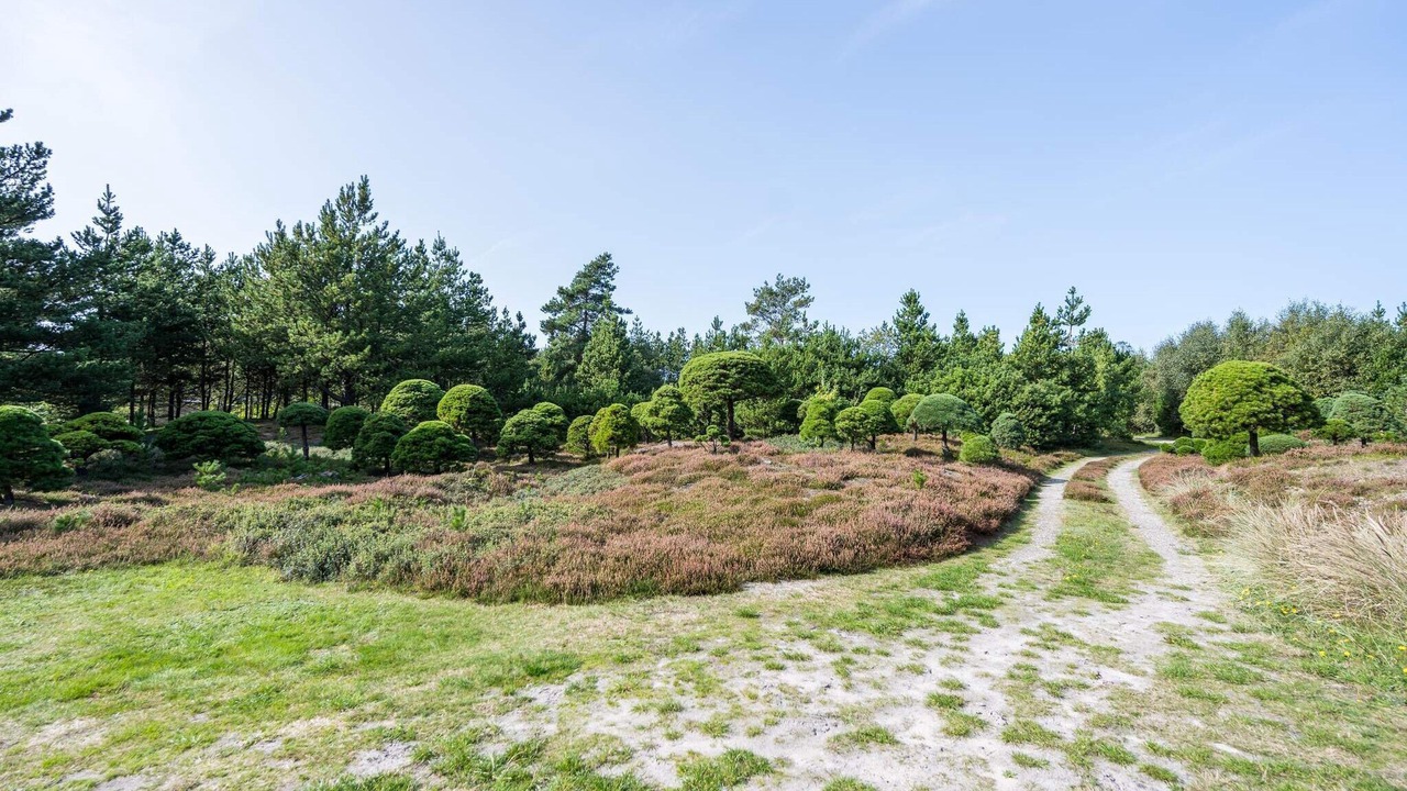 Photo of Outdoor in Ho