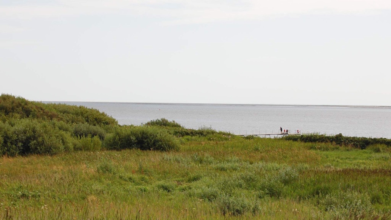 Photo of Others in Hjerting