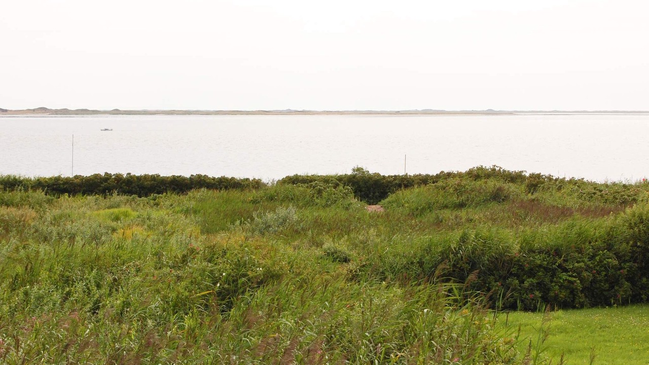 Photo of Others in Hjerting