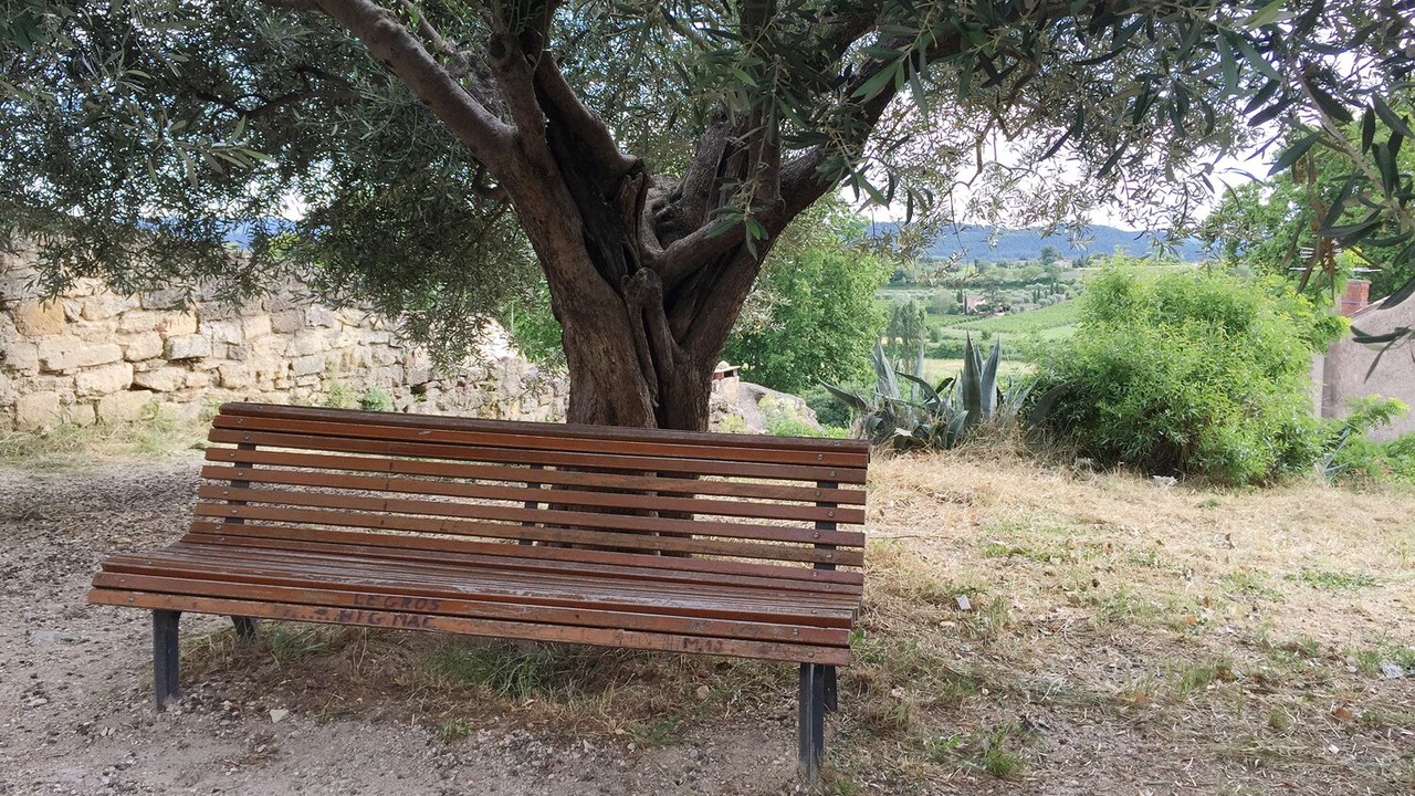 Photo of Outdoor in Cucuron