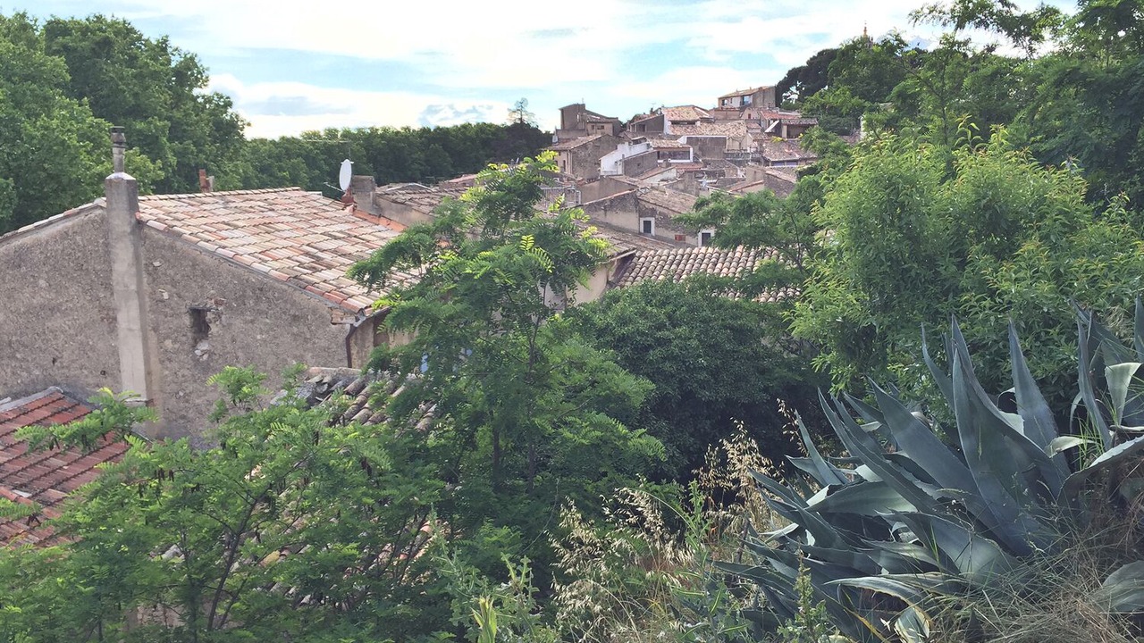 Photo of Outdoor in Cucuron