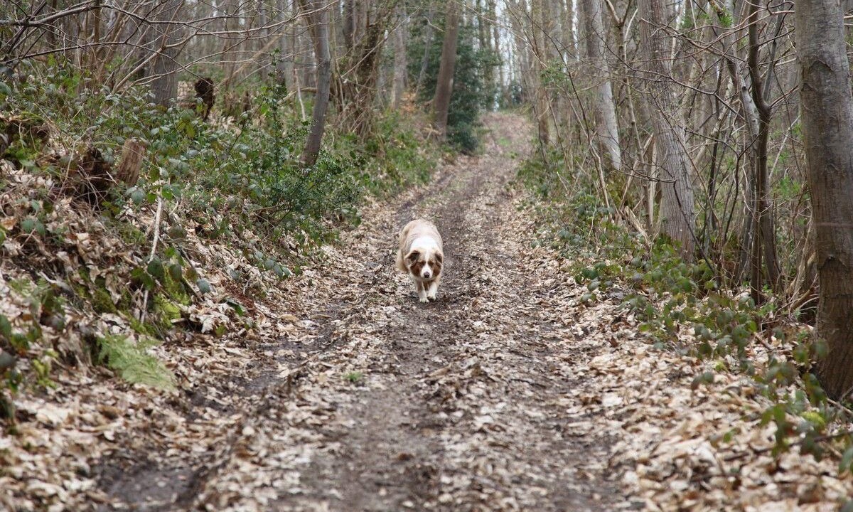 Photo of Outdoor in Marais-Vernier