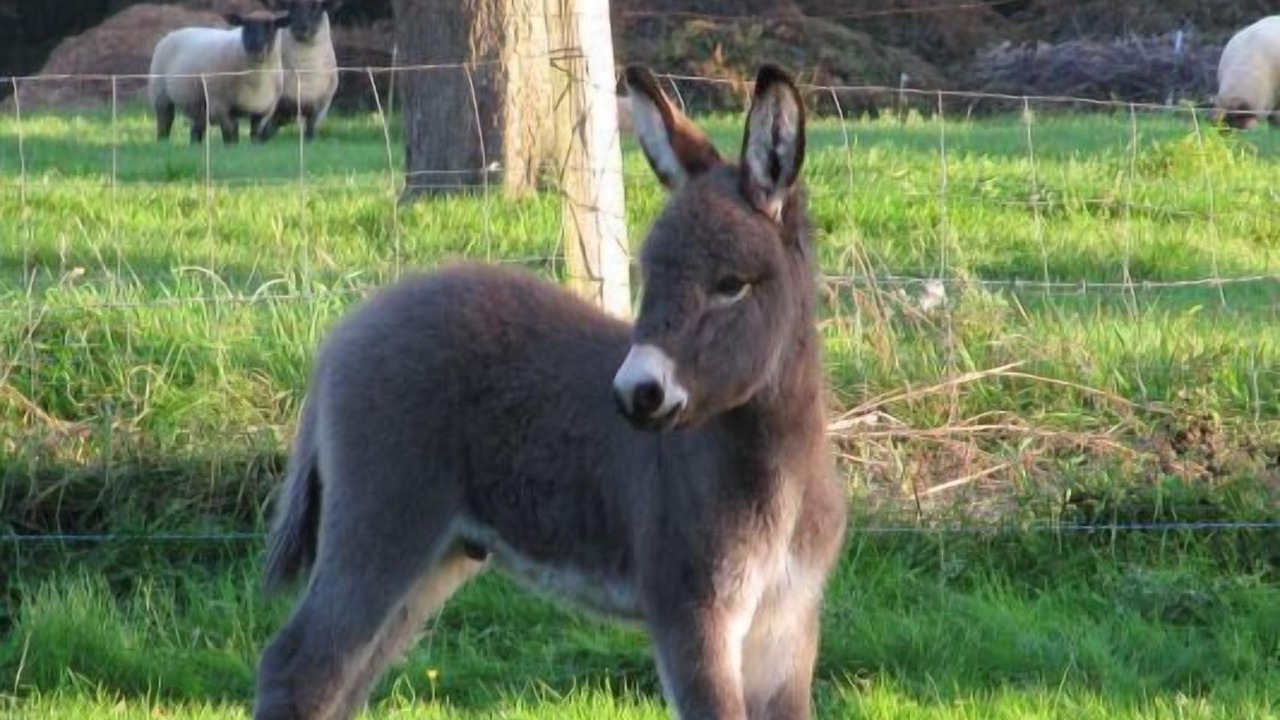 Photo of Outdoor in Marais-Vernier