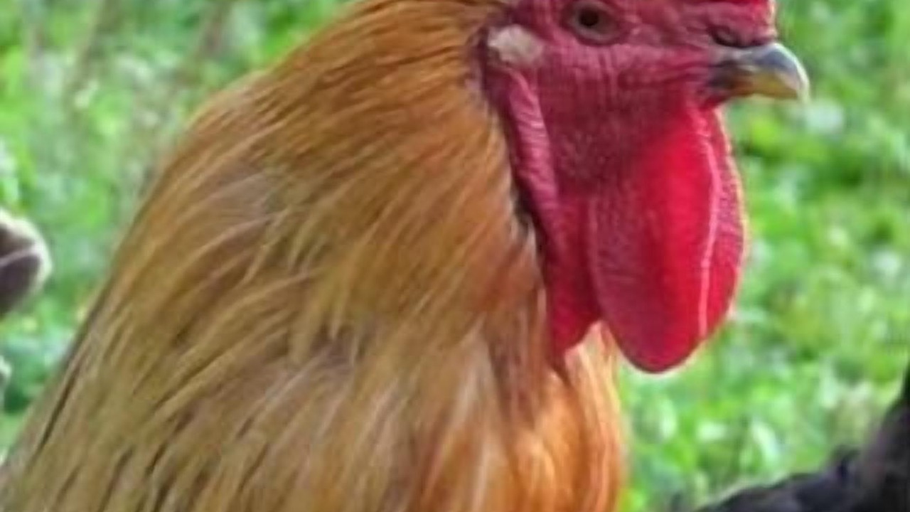 Photo of Outdoor in Marais-Vernier