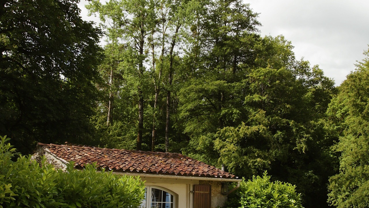 Photo of Outdoor in Chaniers