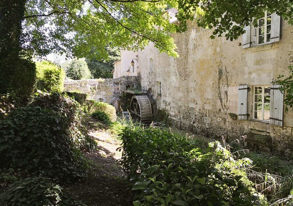 Photo of Outdoor in Chaniers