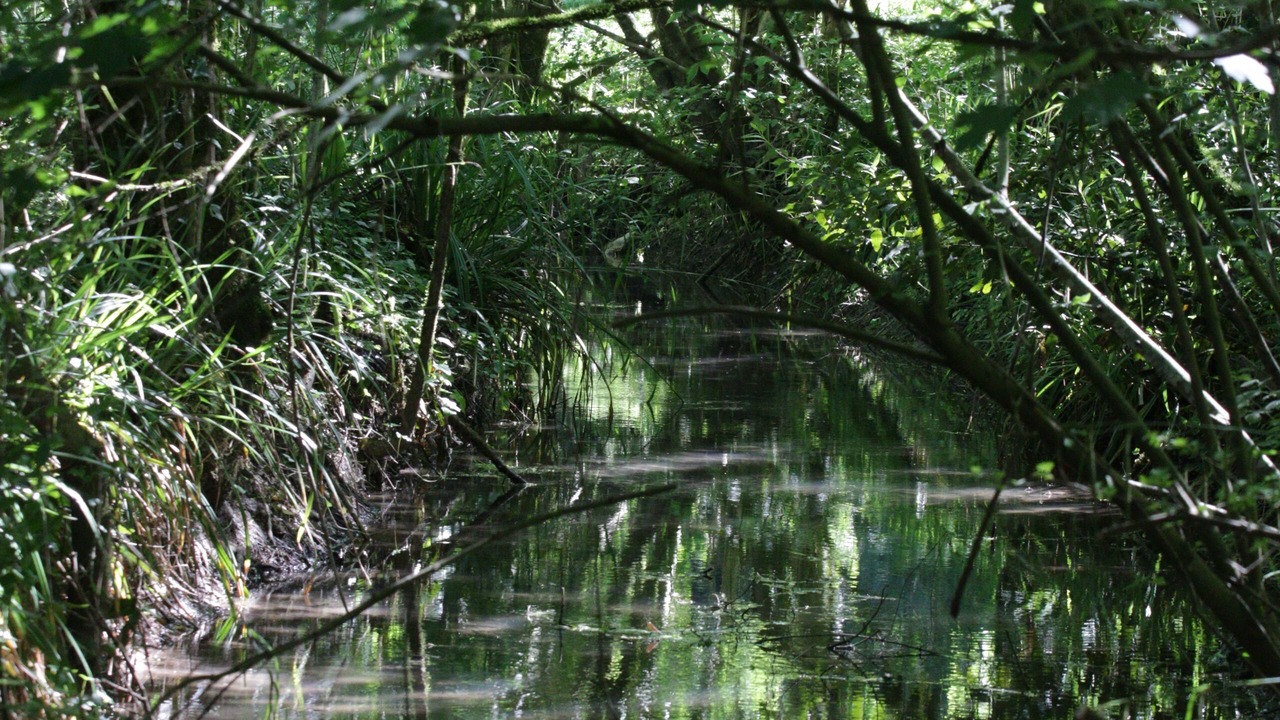 Photo of Outdoor in Chaniers