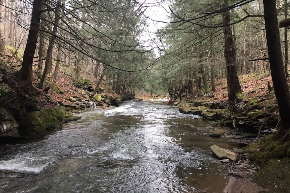 Photo of Others in Town of Denning