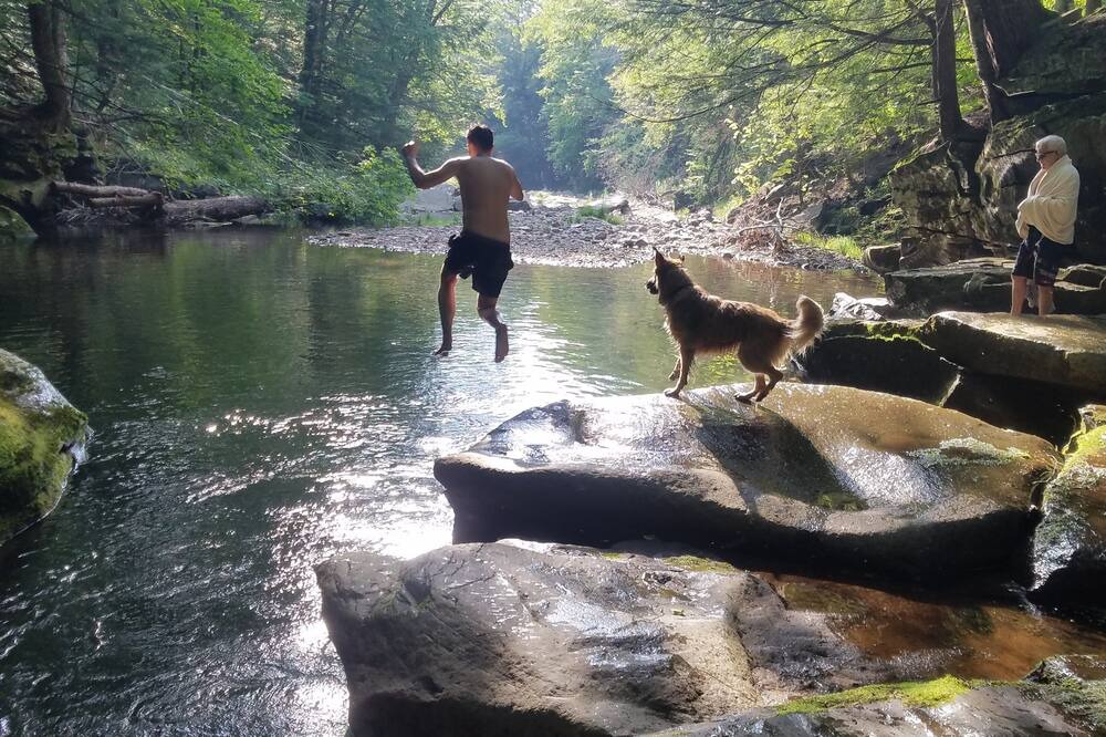 Photo of Others in Town of Denning