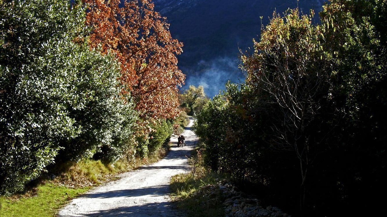 Photo of Outdoor in Zaostrog