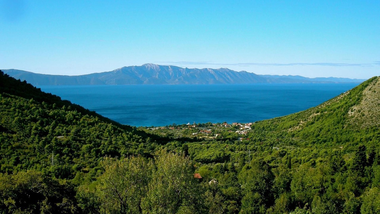 Photo of Others in Zaostrog