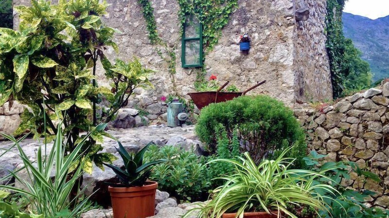 Photo of Outdoor in Zaostrog