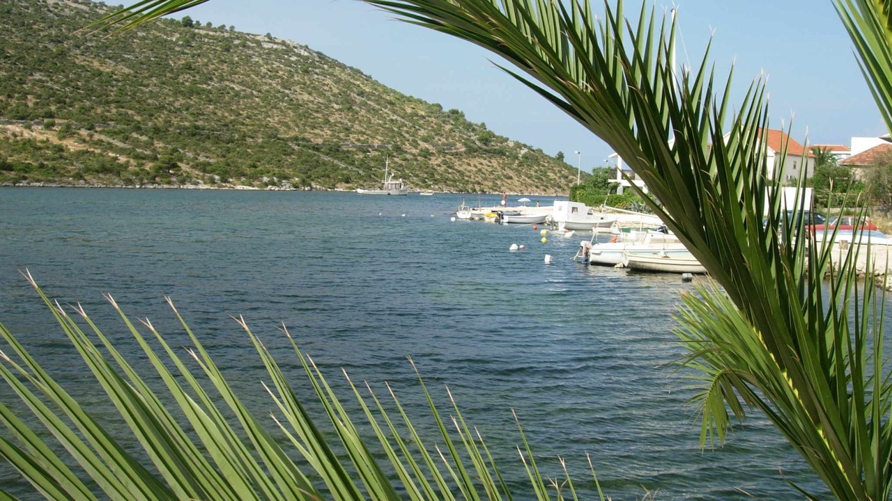 Photo of Others in Podglavica