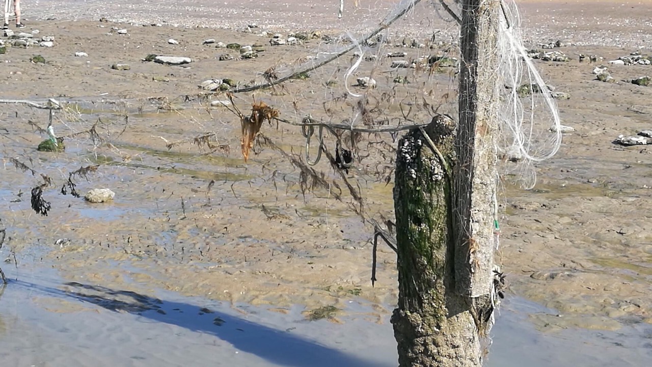 Photo of Outdoor in Villers-sur-Mer