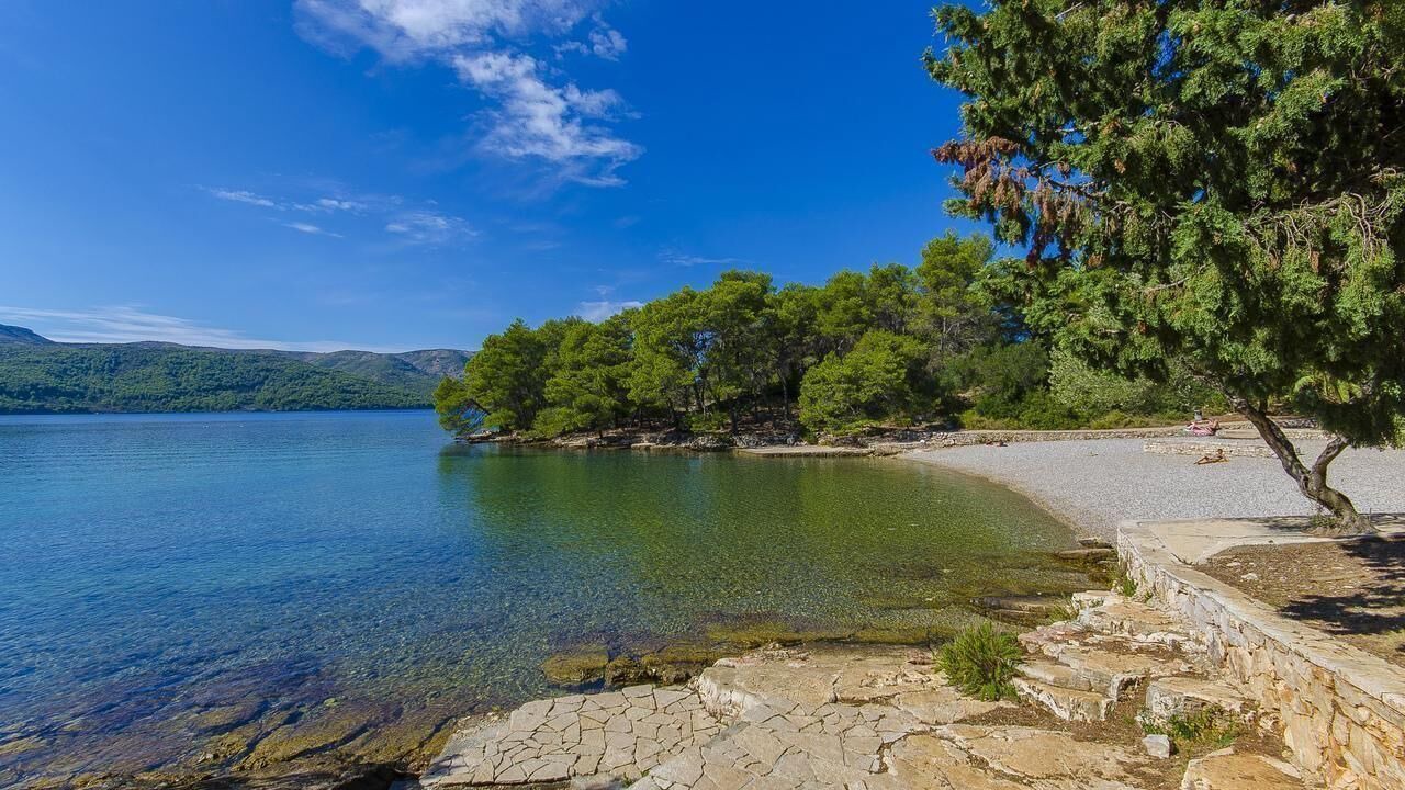 Photo of Others in Stari Grad