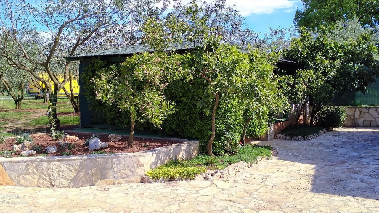 Photo of Outdoor in Sisan