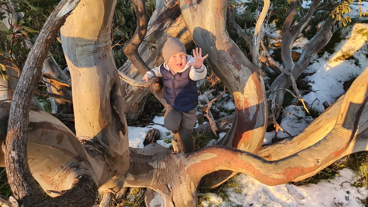 Photo of Outdoor in Dinner Plain