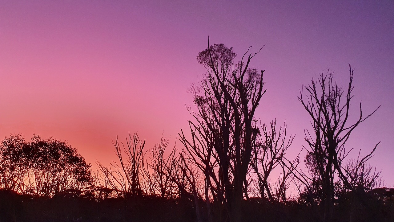 Photo of Outdoor in Dinner Plain