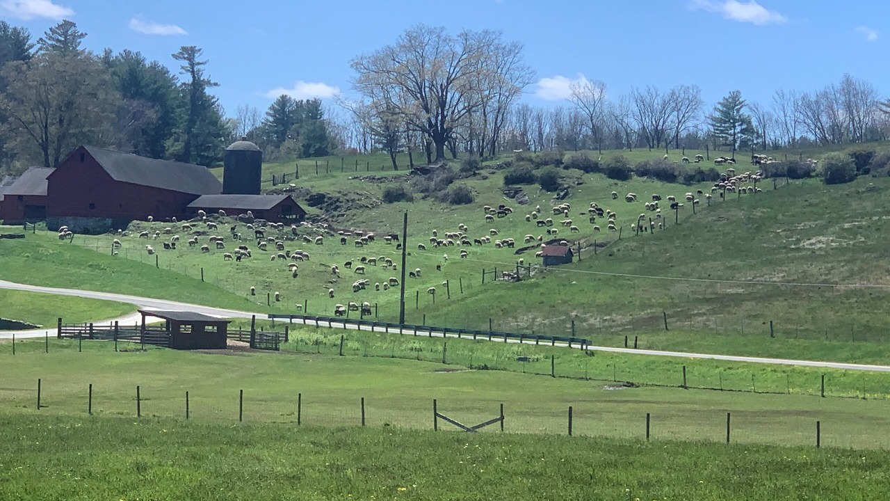 Photo of Outdoor in Great Barrington