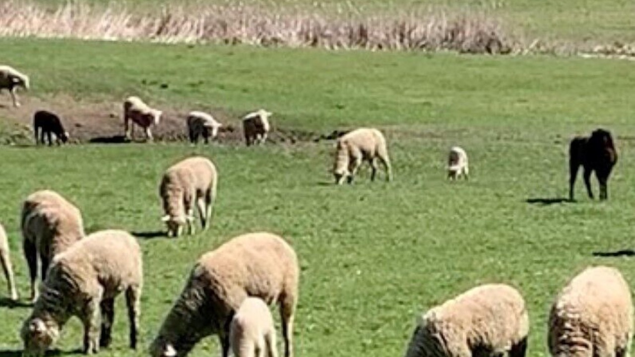 Photo of Others in Great Barrington