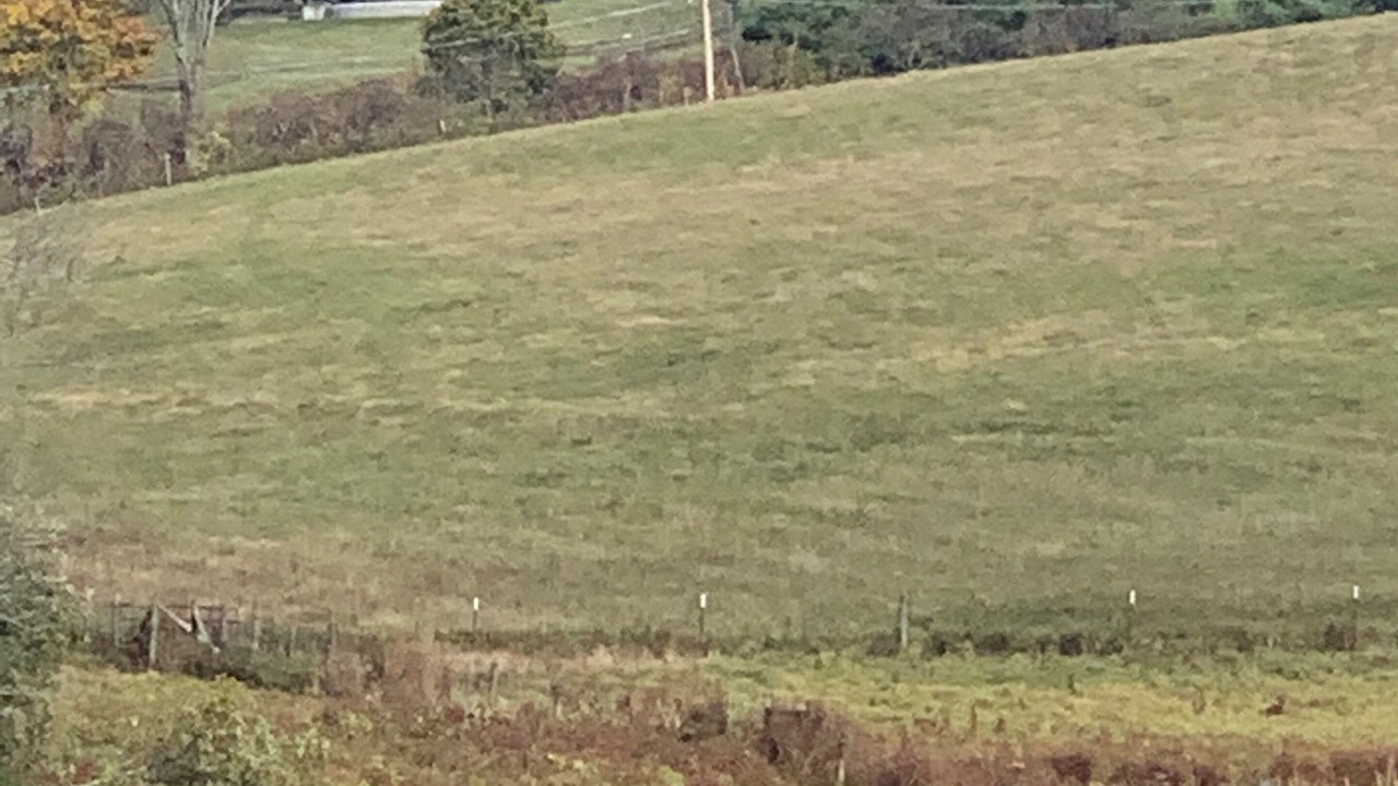 Photo of Outdoor in Great Barrington