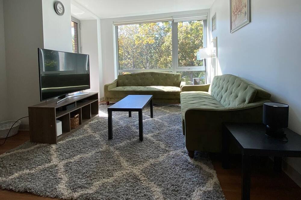 Photo of Livingroom in Mission Hill