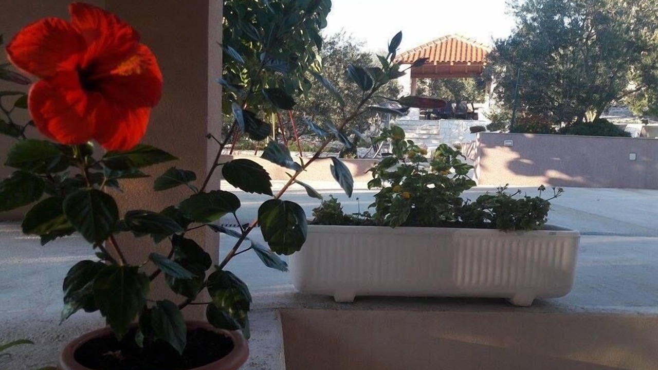 Photo of Outdoor in Marina