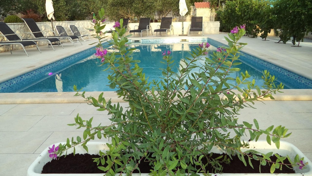 Photo of Outdoor in Marina