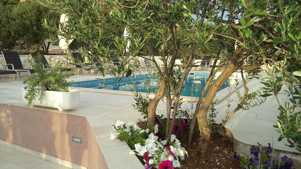 Photo of Outdoor in Marina
