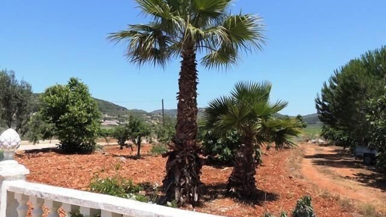 Photo of Outdoor in Jalon