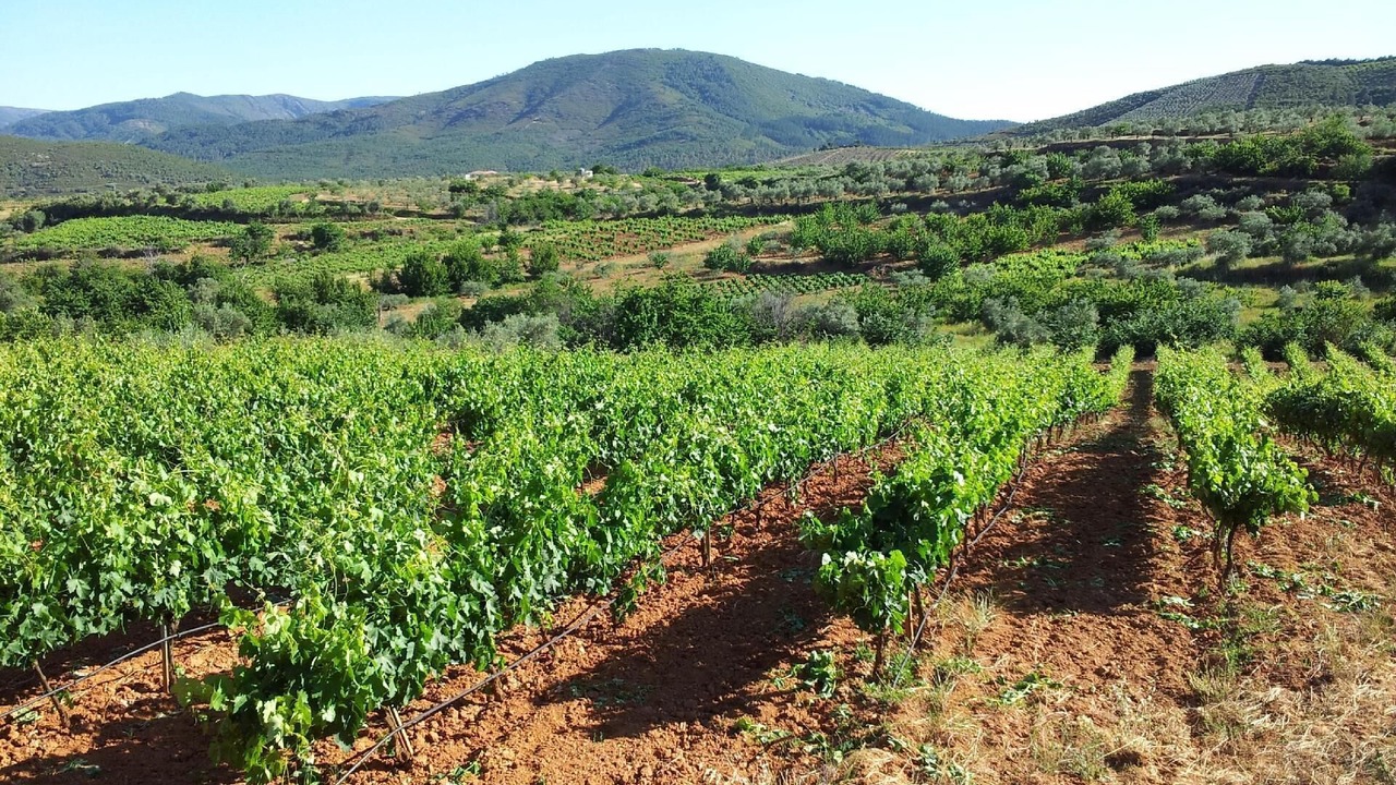 Photo of Outdoor in Sotoserrano