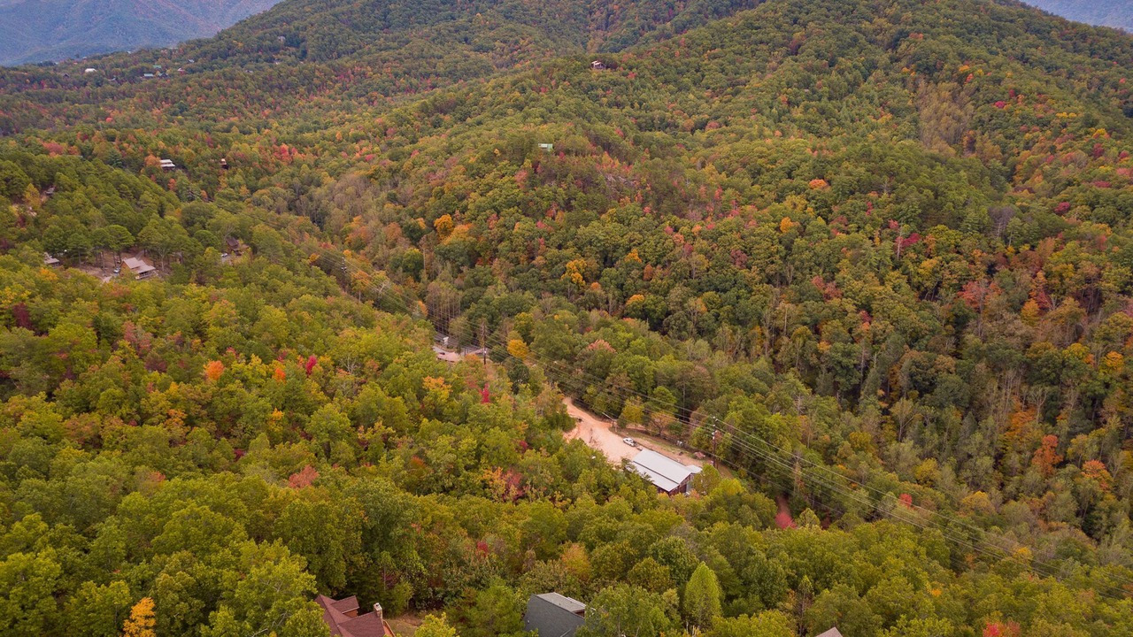 Photo of Others in Townsend