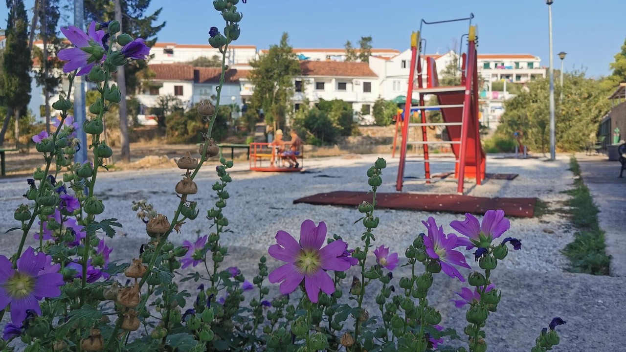 Photo of Outdoor in Necujam