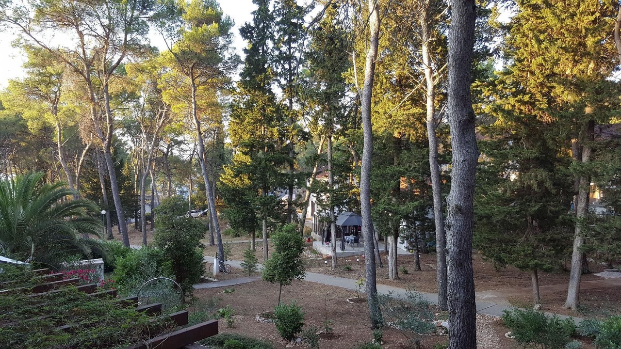 Photo of Outdoor in Necujam