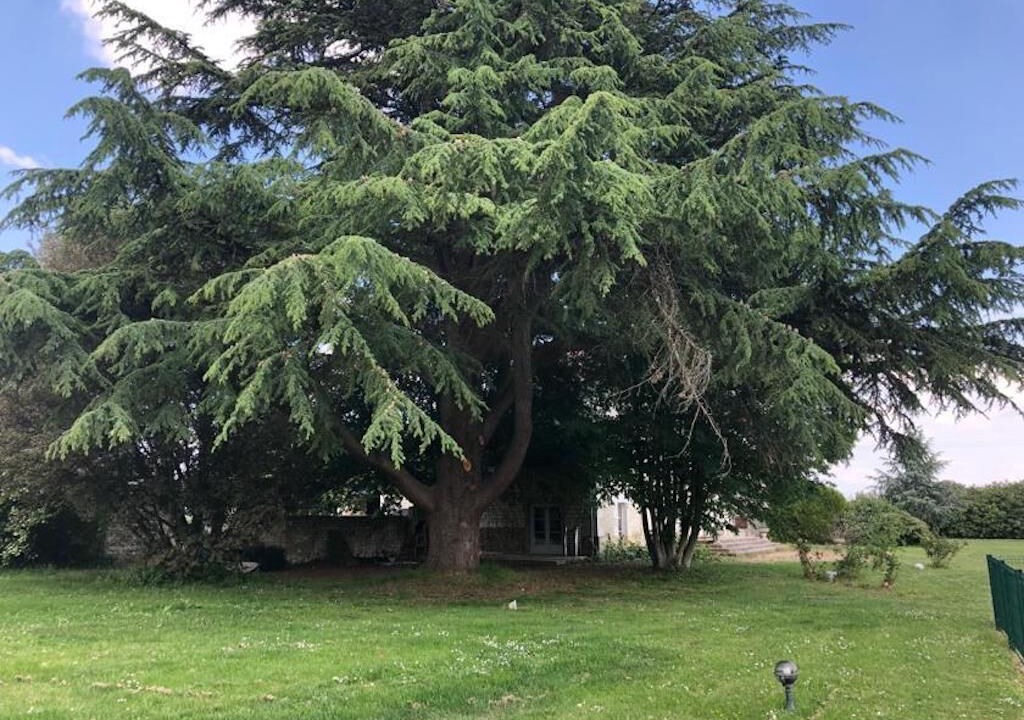 Photo of Outdoor in Sepmes