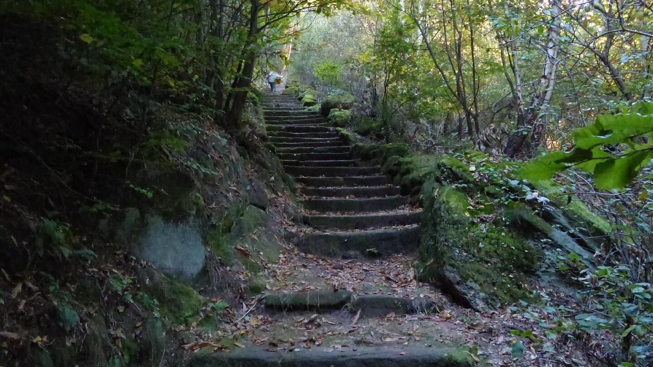 Photo of Outdoor in Neuwiller-les-Saverne