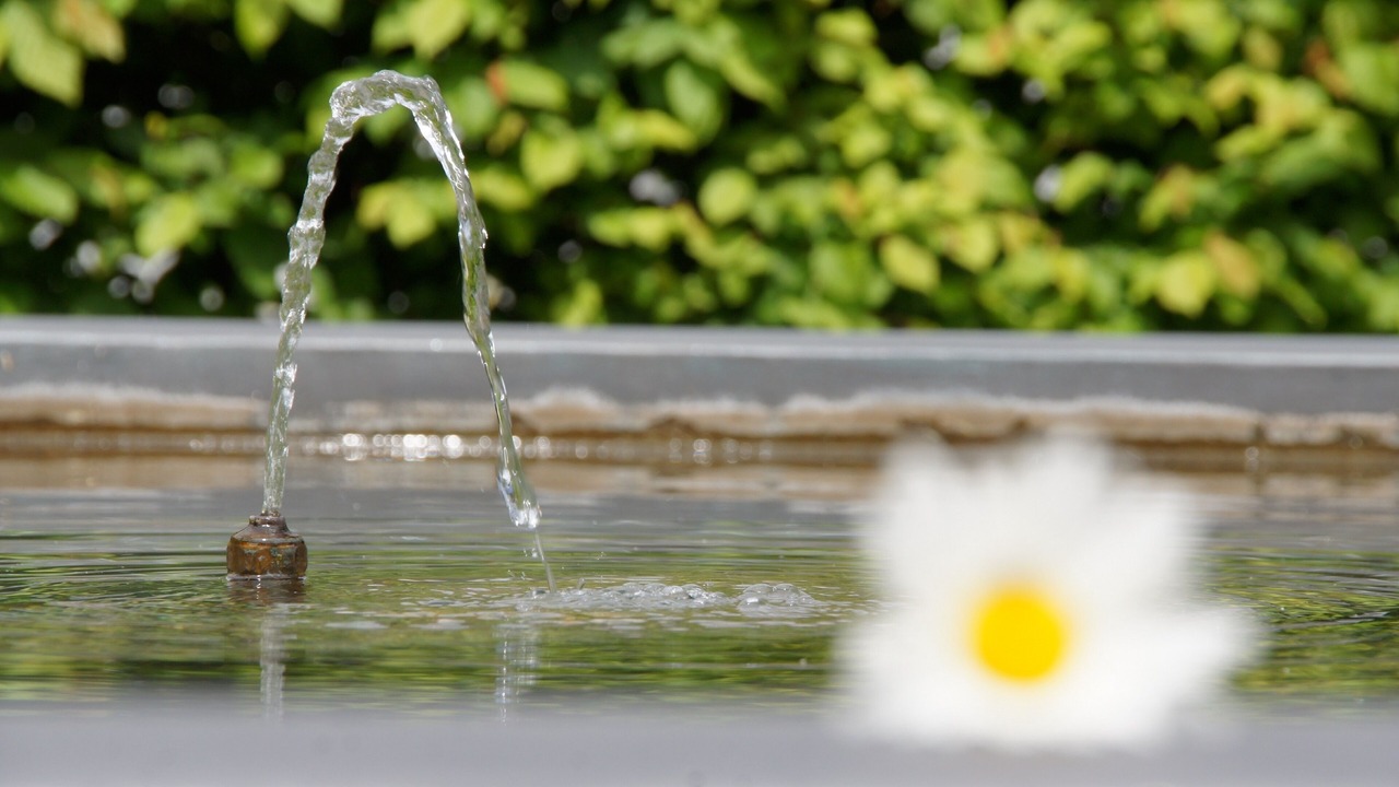 Photo of Outdoor in Fischingen