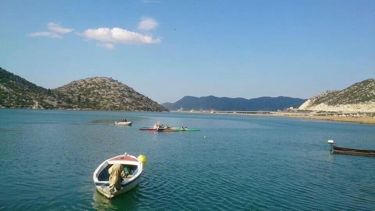 Photo of Others in Ploce