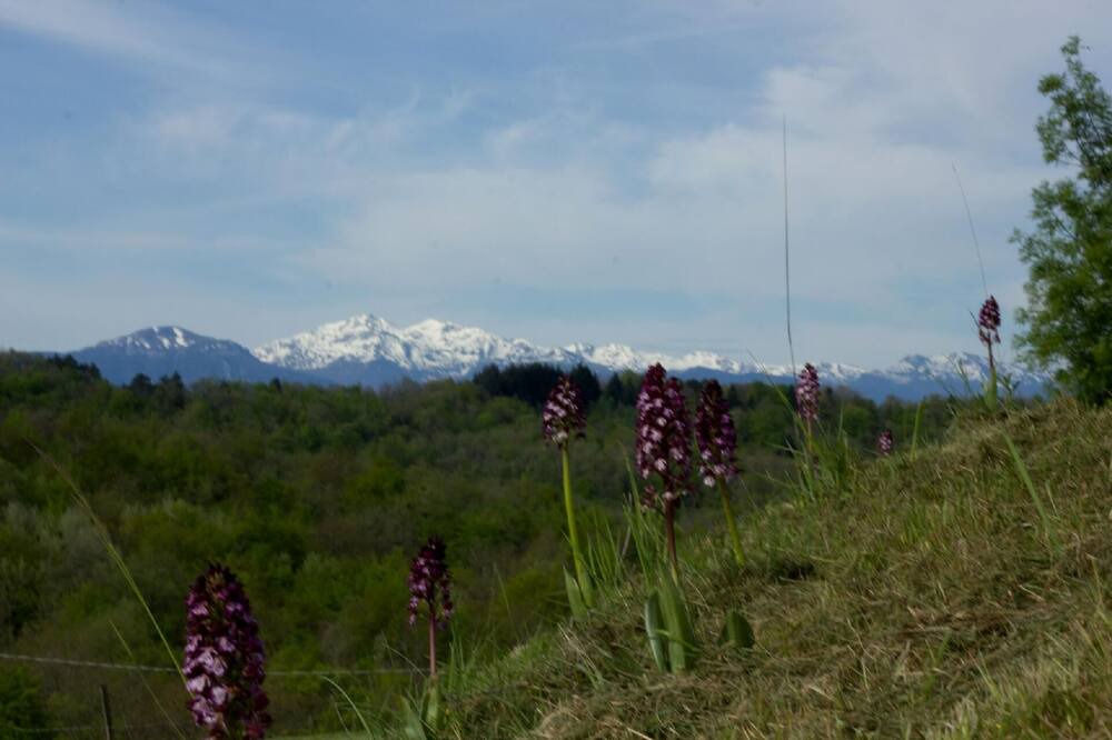 Photo of Outdoor in Sonnac-sur-l'Hers