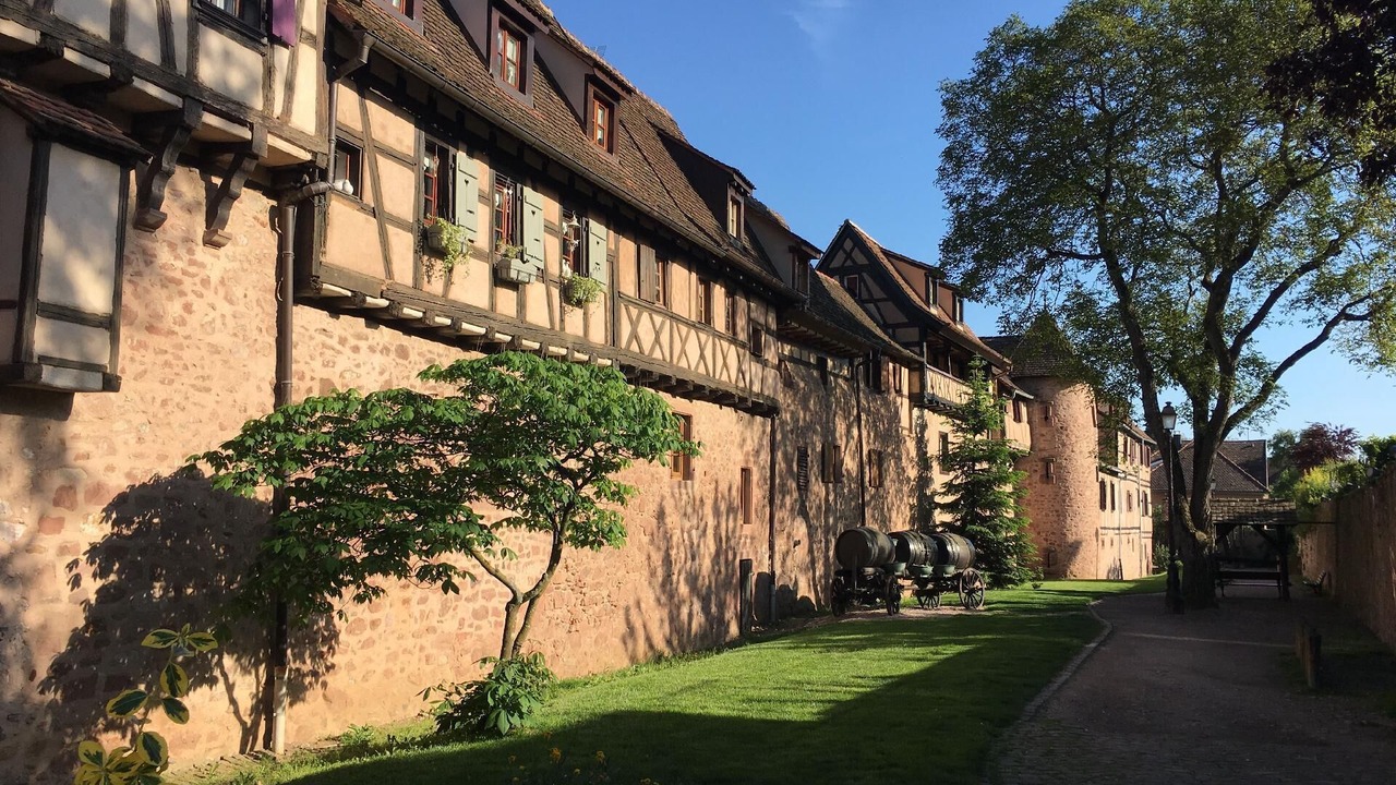 Photo of Outdoor in Riquewihr