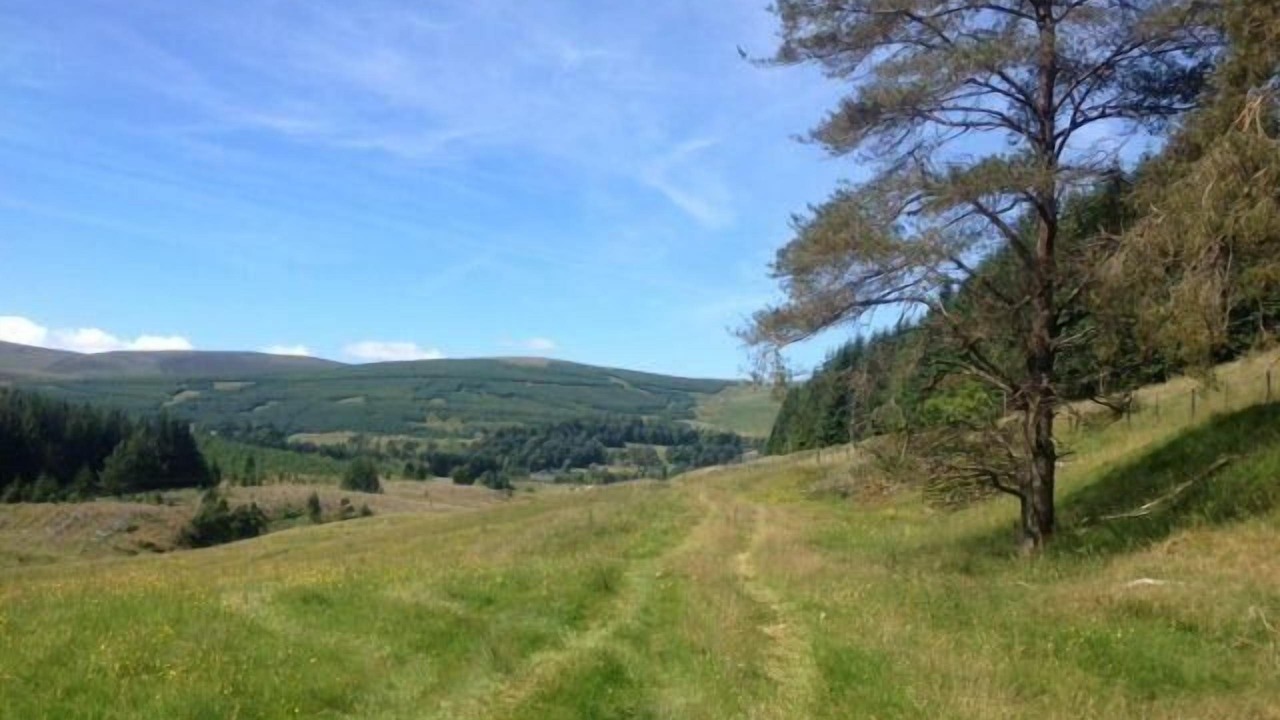 Photo of Others in Biggar