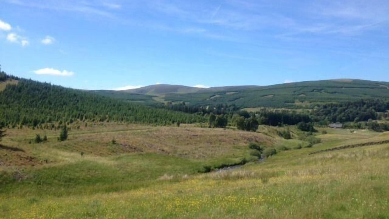 Photo of Others in Biggar