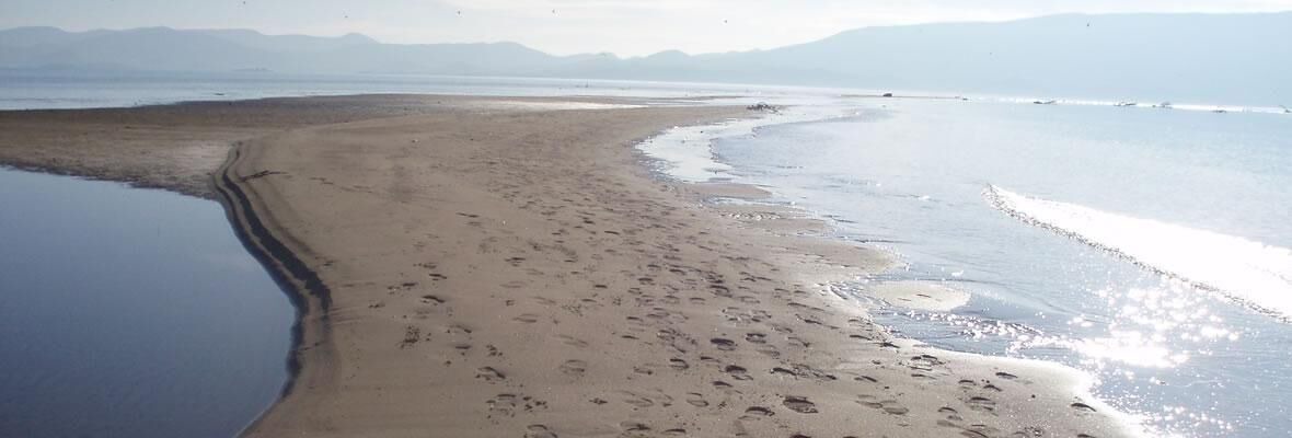 Photo of Others in Ploce