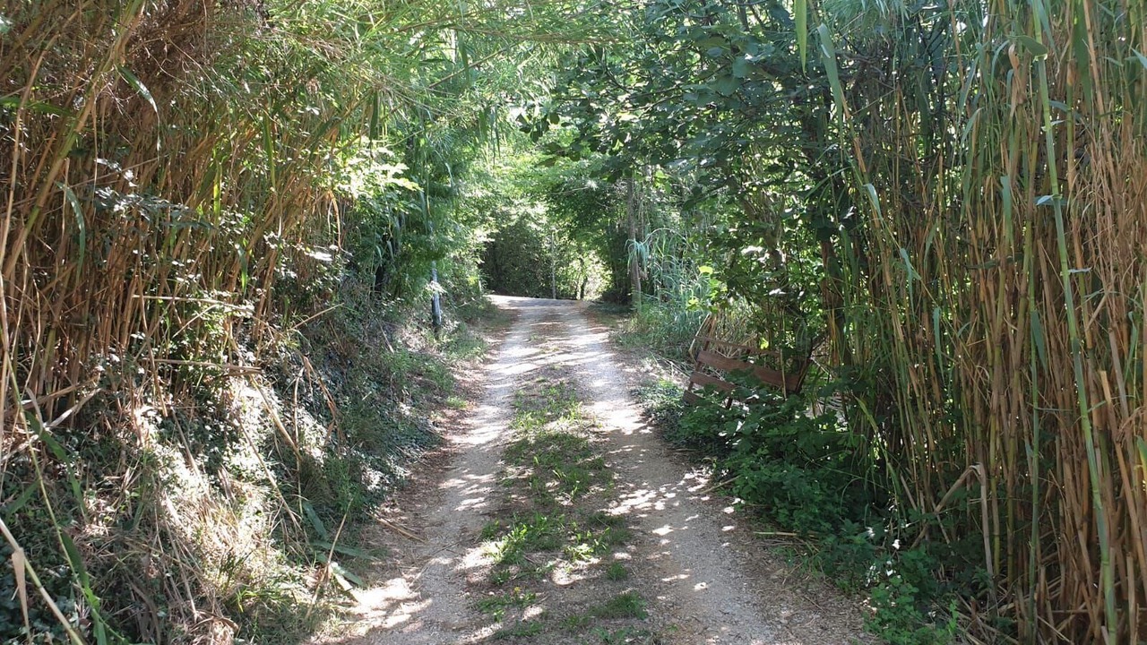 Photo of Outdoor in Nin