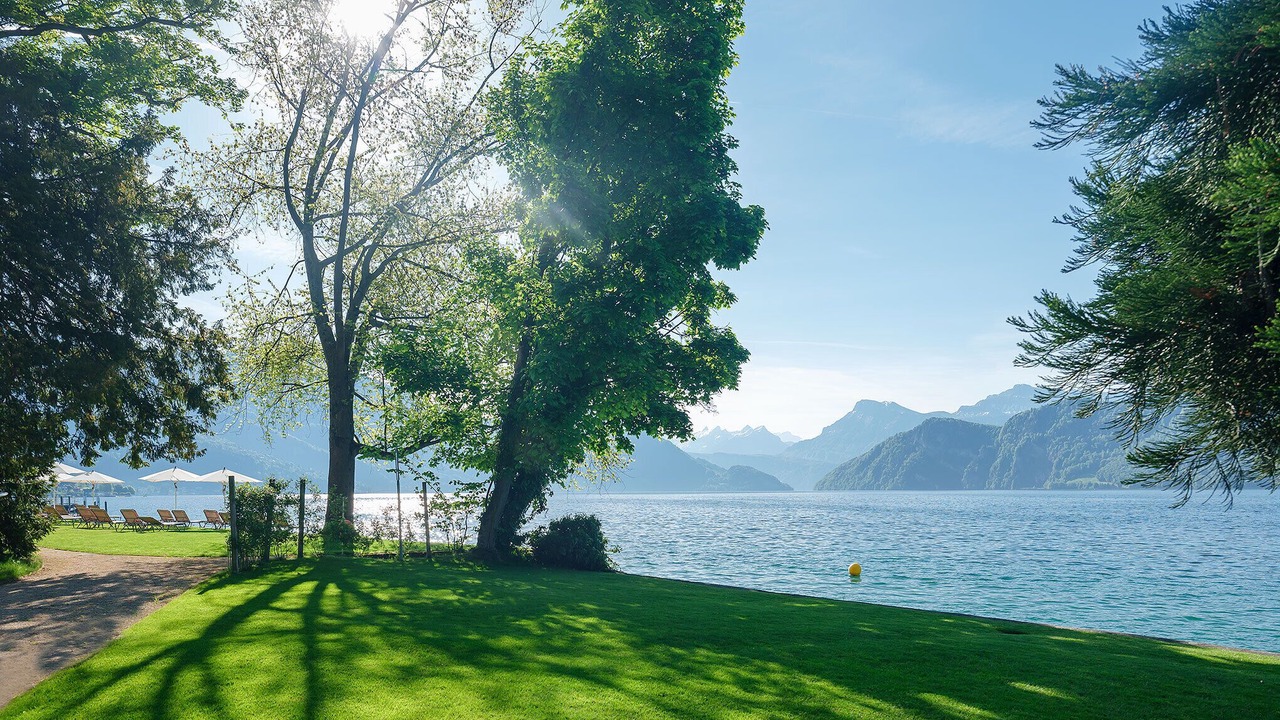 Photo of Outdoor in Weggis