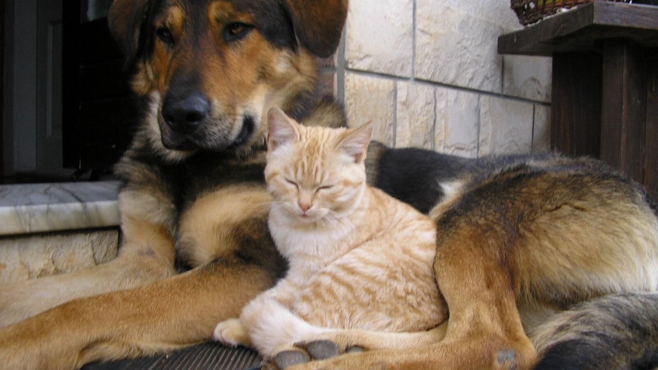 Photo of Others in Icici
