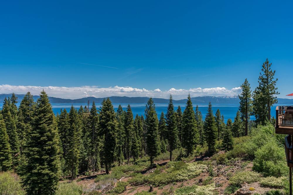 Photo of Outdoor in Talmont