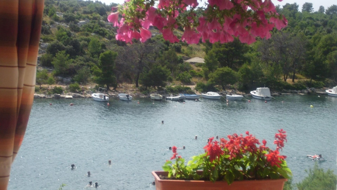 Photo of Others in Grebastica