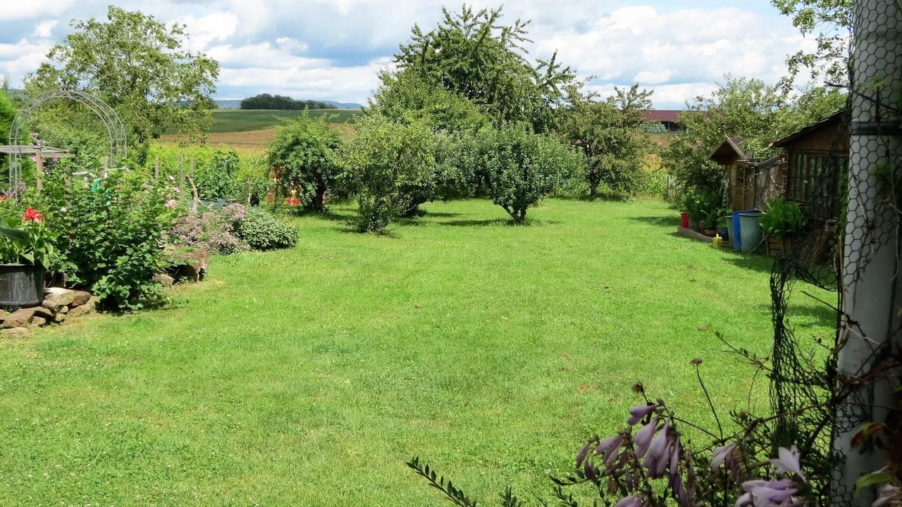 Photo of Outdoor in Betschdorf