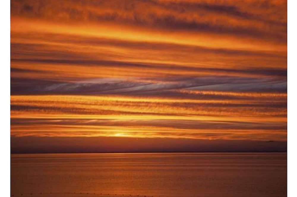 Photo of Others in East Marion